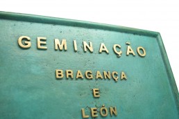 Bronze