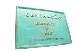 Bronze